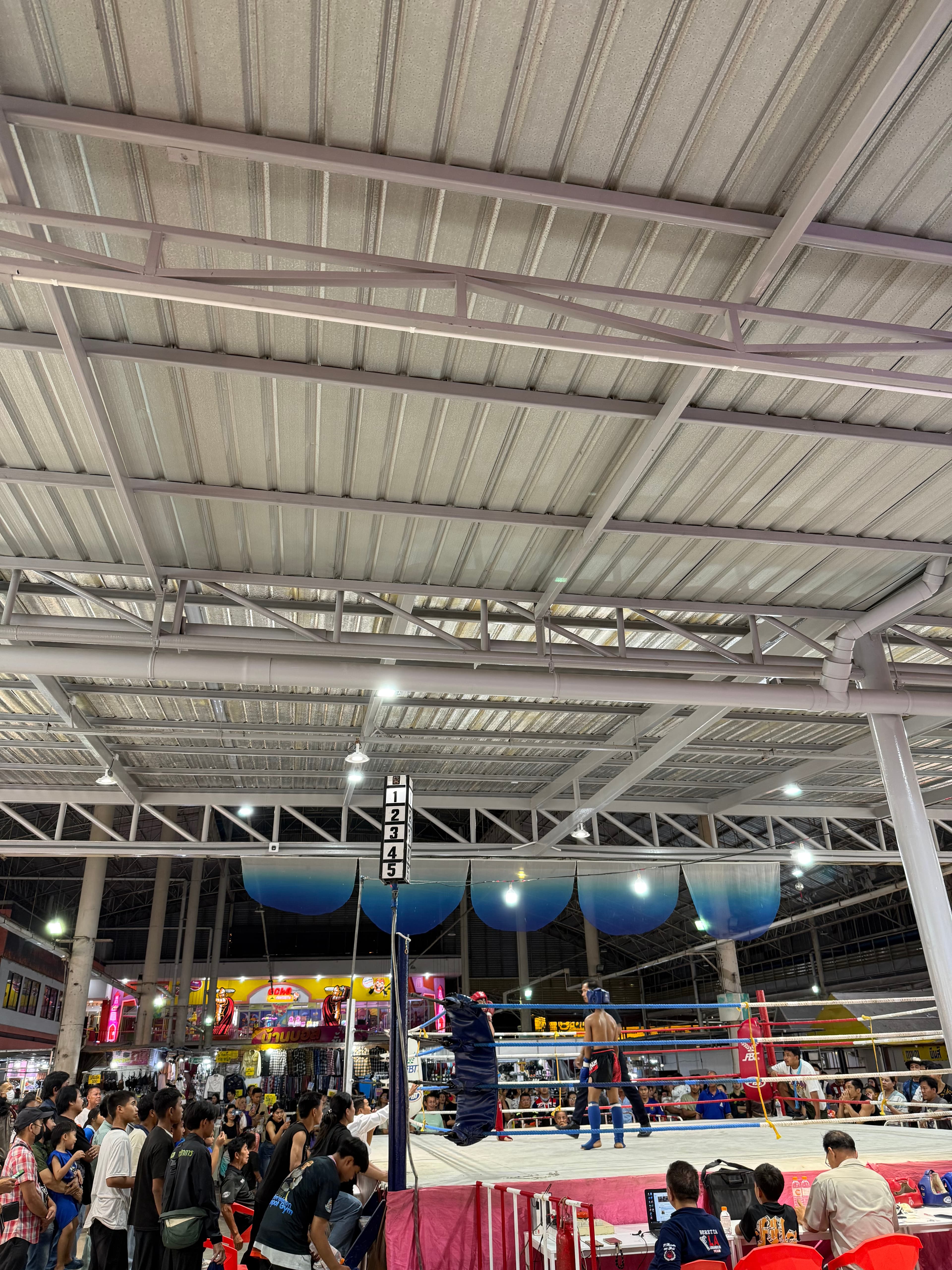 Fight day in the ring