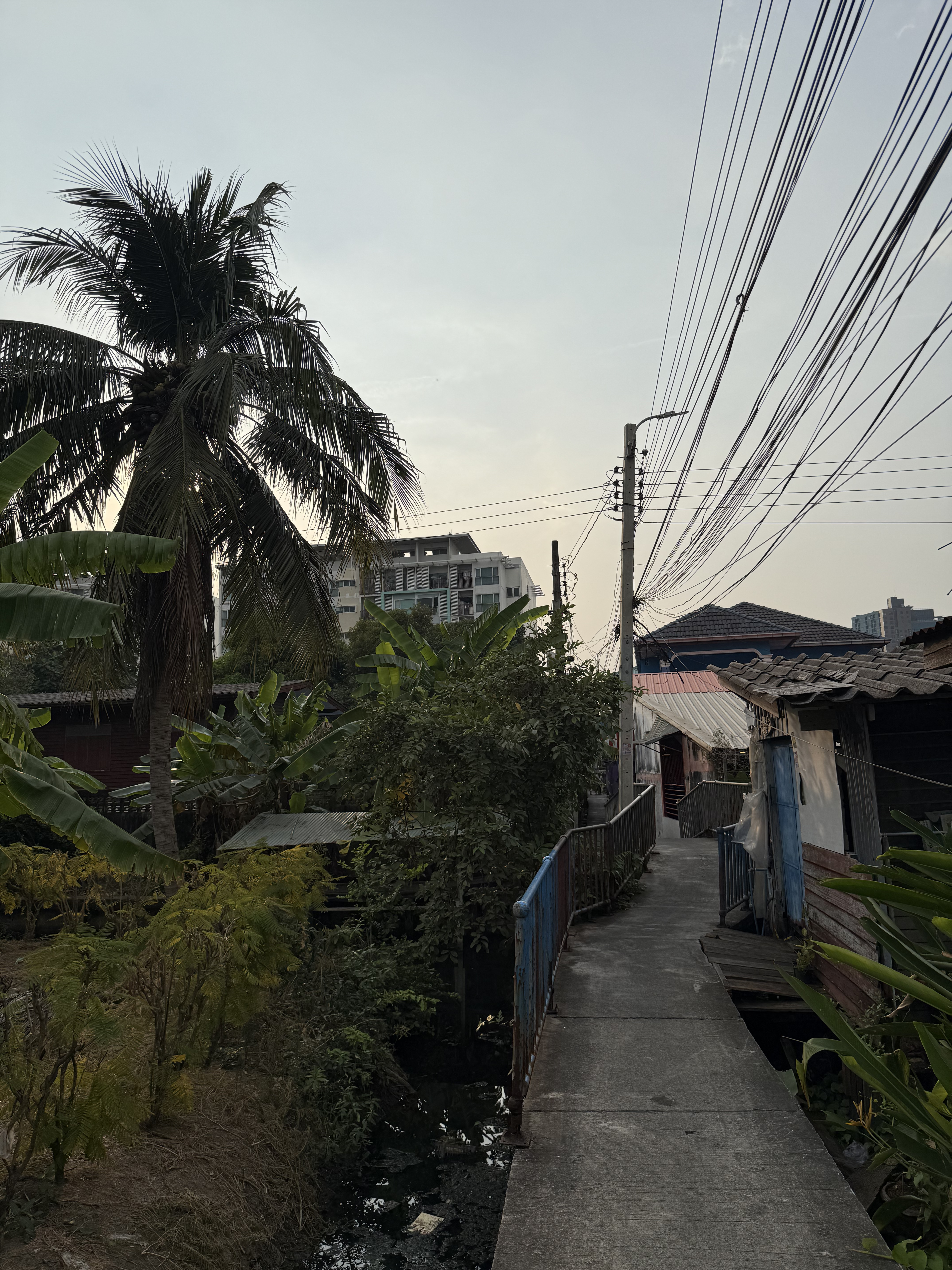 Path to the gym